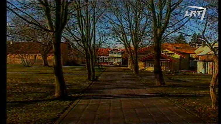 Panoramos archyvai. Palangoje kilo konfliktas