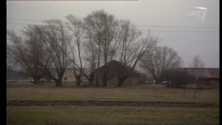 Panoramos archyvai. Pašalpos didinamos, bet nemokamos