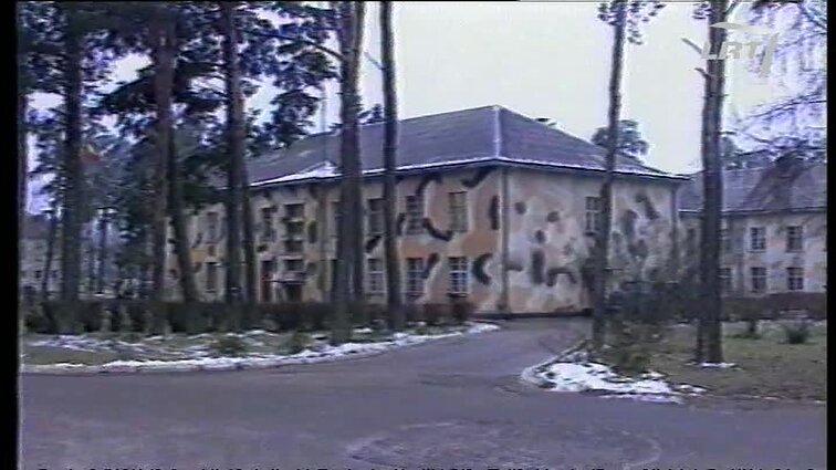 Panoramos archyvai. Dvi baudžiamosios bylos ginklų arsenale