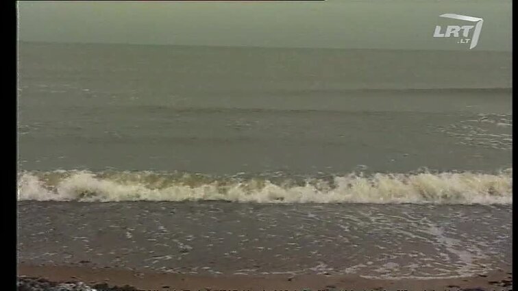 Panoramos archyvai. Mazutas užteršė pajūrį