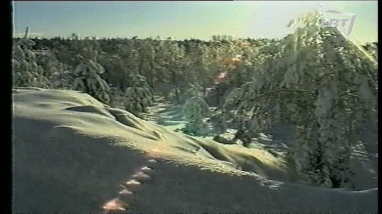 Panoramos archyvai. Gausus sniegas