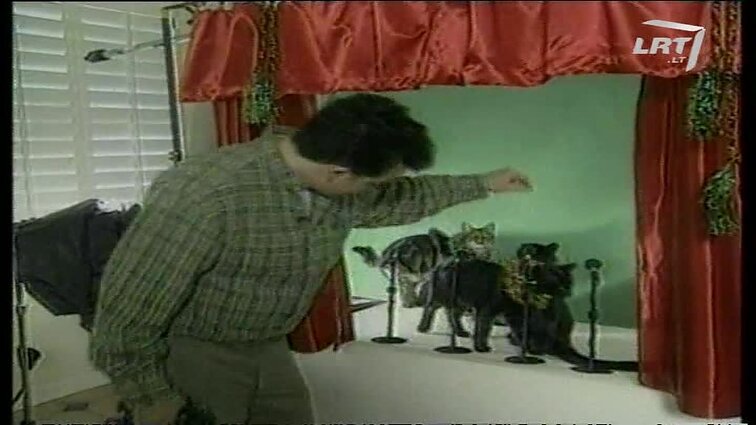 Panoramos archyvai. Dainuojančios katės