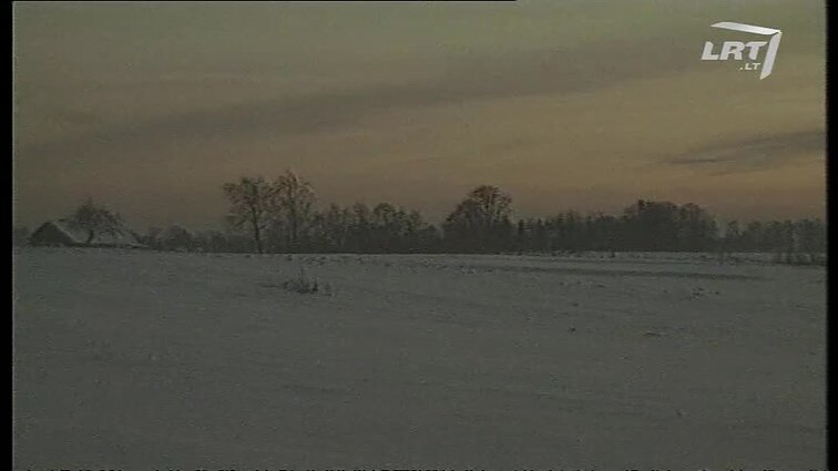 Panoramos archyvai. Blukvilkis