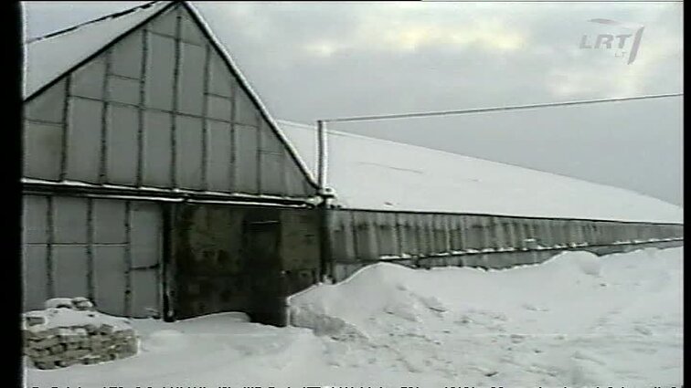 Panoramos archyvai. Mažeikių šiltnamiai