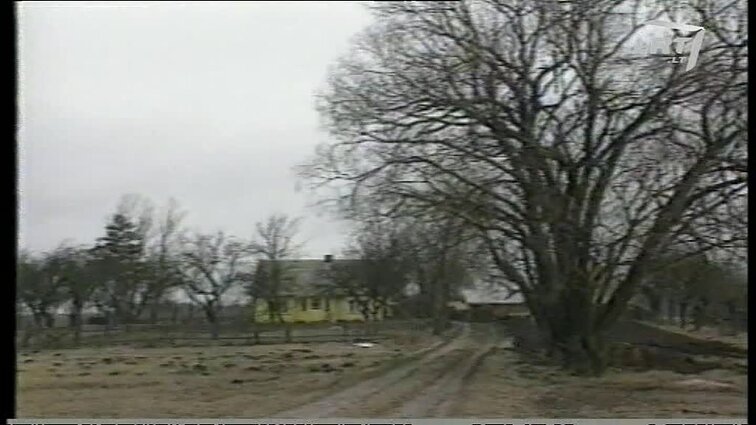 Panoramos archyvai. Velykos kaime