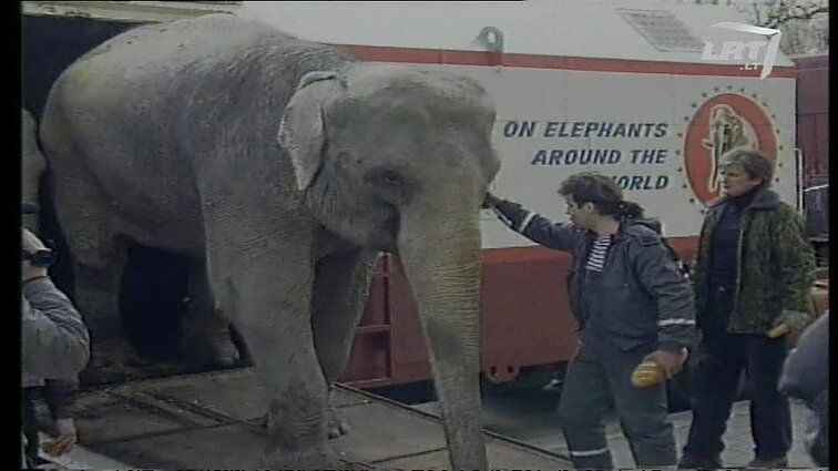 Panoramos archyvai. Drambliai