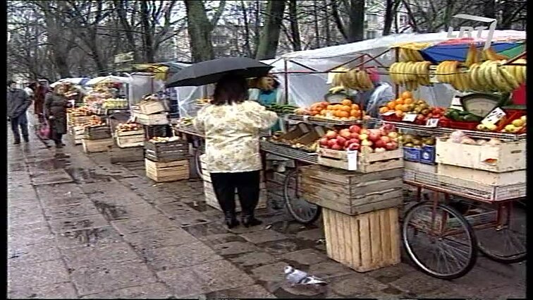 Panoramos archyvai. Sodininkų rūpesčiai