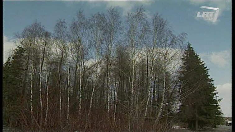 Panoramos archyvai. Miškų gelbėjimo sąjūdis