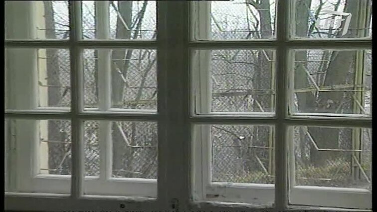 Panoramos archyvai. Psichiatrai ir psichiniai ligoniai