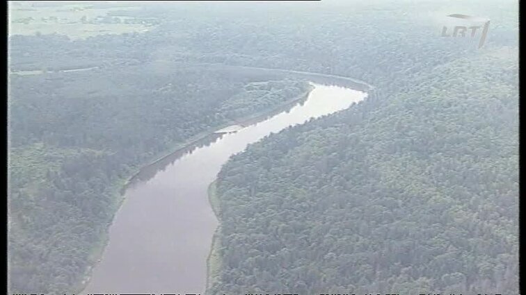 Panoramos archyvai. Miškų kompensacija