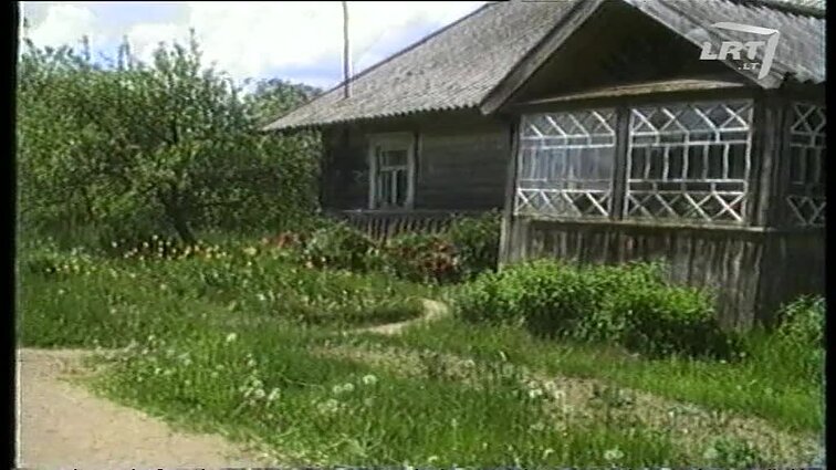 Panoramos archyvai. Karvė paversta arkliu