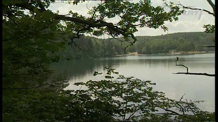 Panoramos archyvai. Žaliųjų ežerų tarša