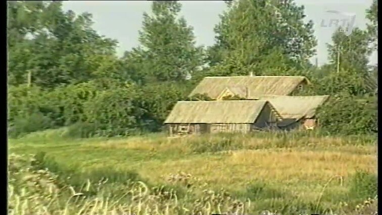 Panoramos archyvai. Javapjūtė Ignalinos krašte