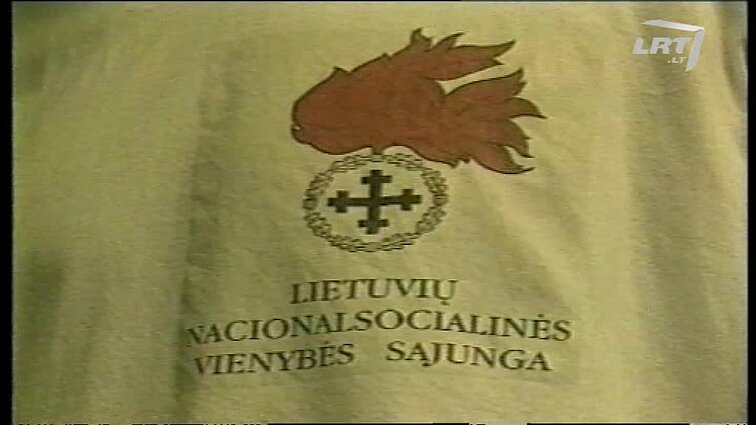 Panoramos archyvai. Nacionalsocialinės Vienybės sąjunga