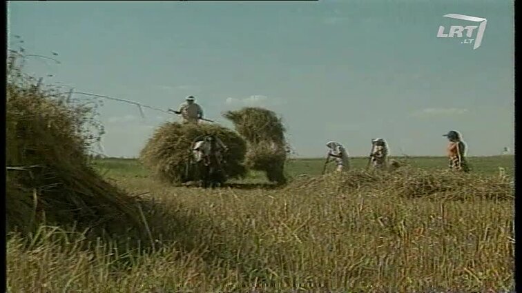 Panoramos archyvai. Pilkieji žemės plotai