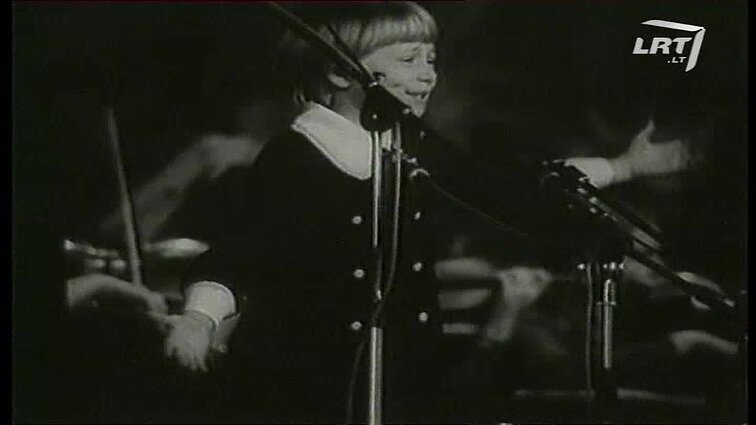 Panoramos archyvai. Vaida Genytė