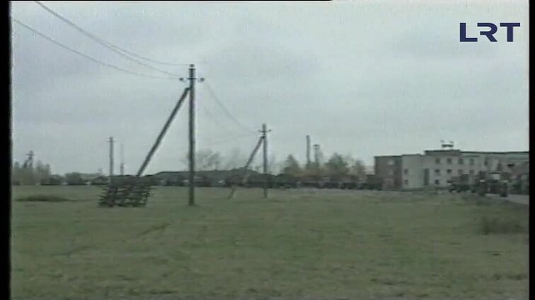 Panoramos archyvai. Cukrinių runkelių supirkimas