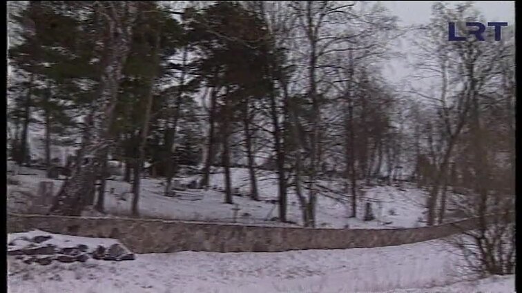 Panoramos archyvai. Videniškių muziejus