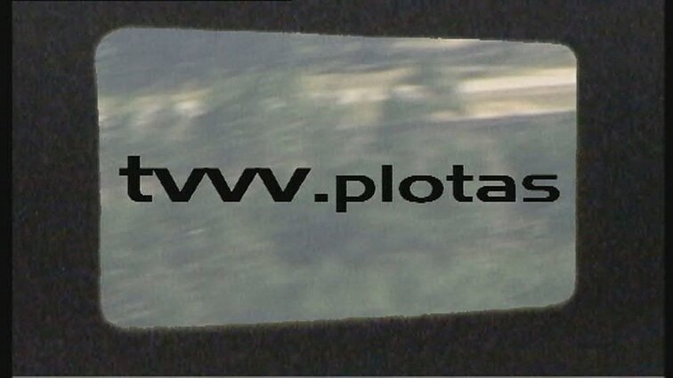 Tvvv.plotas. Menininkas ir giminės.