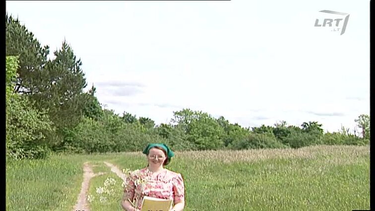 Mėta Meškinija. Vaikų eilėraščiai apie vasarą.