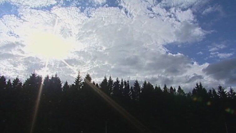 Švente Kvedarnoje 2015. Vytautas Šiškauskas