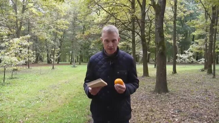 Klausimėlis. Ką žinote apie kontrabandą?