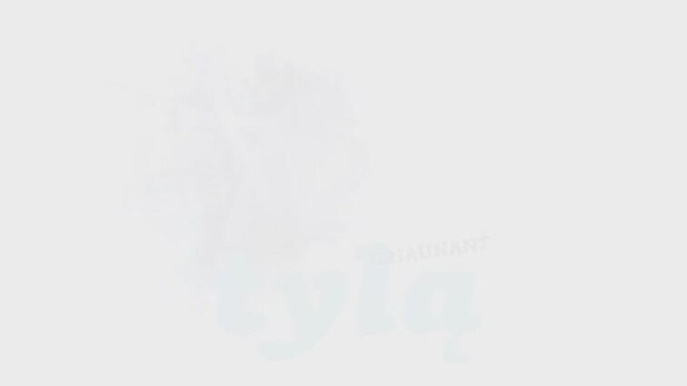 Tarptautinis koncertas „Griaunant tylą“.