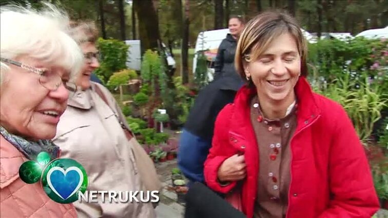 Klauskite daktaro.