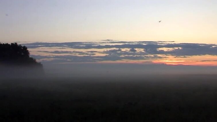 Įsižiūrėk, įsiklausyk.