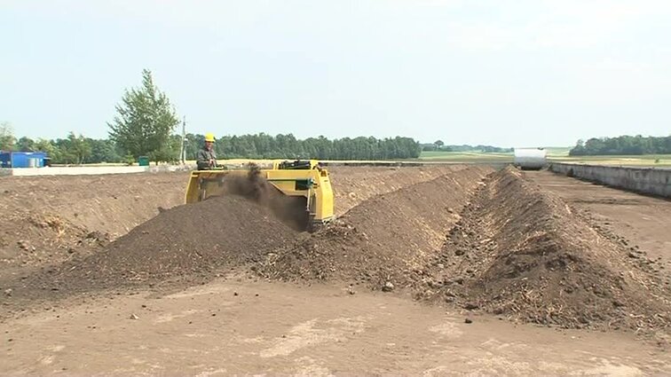 Įsižiūrėk, įsiklausyk.