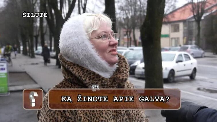 Klausimėlis. Ką žinote apie galvą?