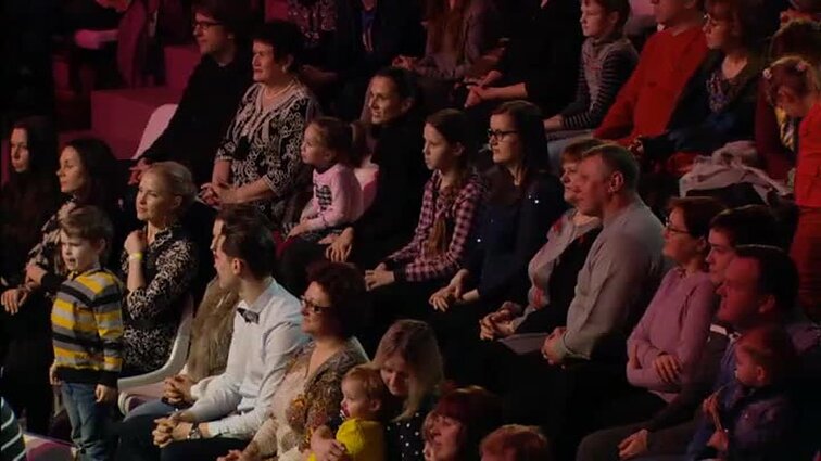 Delfinai ir žvaigždės