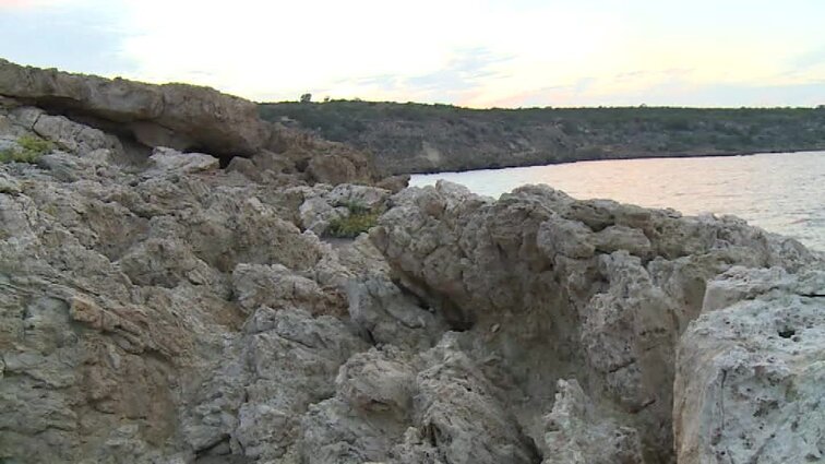 Popietė su Algimantu Čekuoliu