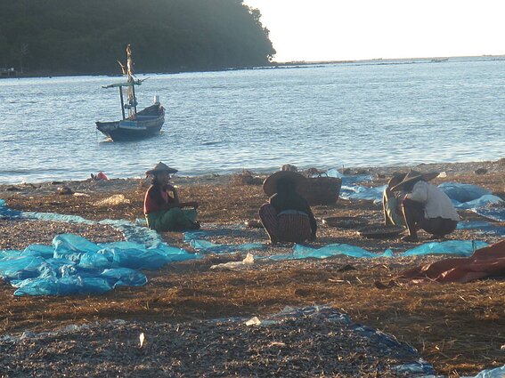 Radijo dokumentika. Mianmaras