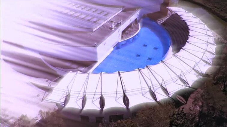 Delfinai ir žvaigždėsAštunta laida