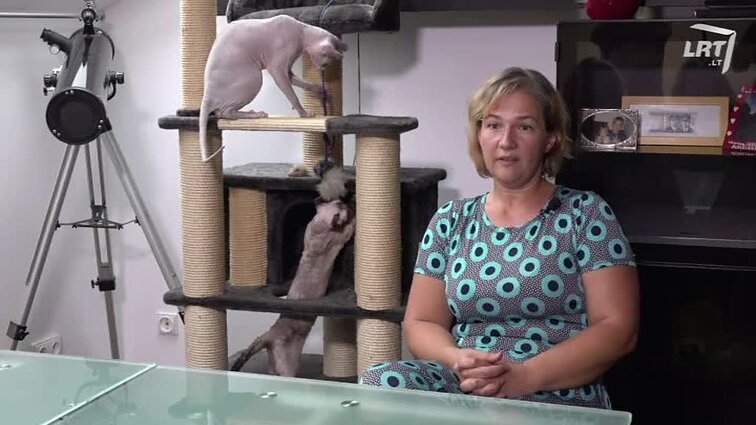 Mūsų gyvūnai. Šiandien laidoje: nedideli, judrūs ožiukai zoologijos sode važinėjasi karučiais, eksperimentinės katės dvelfai turi gerbėjų ir Lietuvoje, dizaineris Robertas Kalinkinas ir jo meilė gyvūnams.