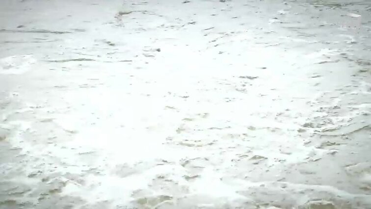 Gamtos inspektoriai. - 2017.09.29