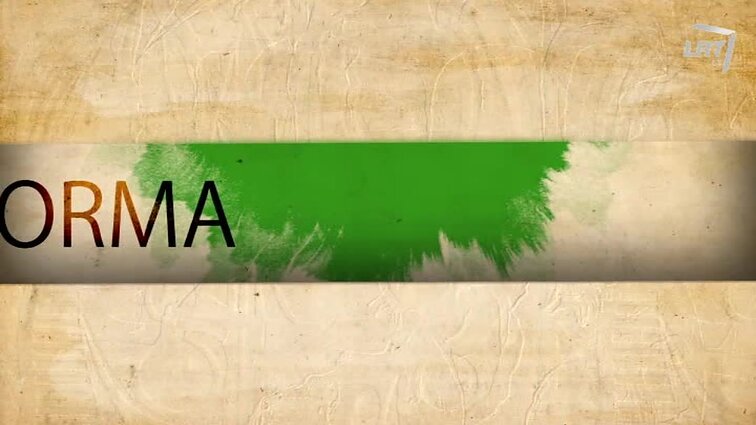 Linija, spalva, forma. - 2017.11.12