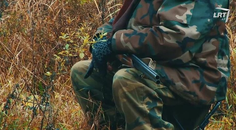 Gamtos inspektoriai. - 2017.11.24