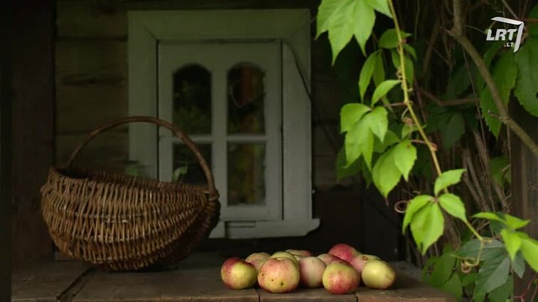Atspindžiai. Paveldo kolekcija. - 2017.11.28 Atsinaujinęs etnografinis Zervynų kaimas.