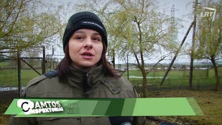 Gamtos inspektoriai. - 2017.12.01