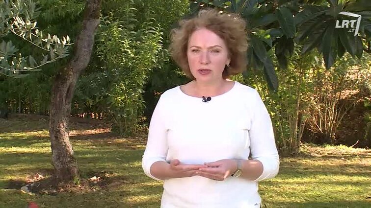 Šventadienio mintys. - 2017.12.03