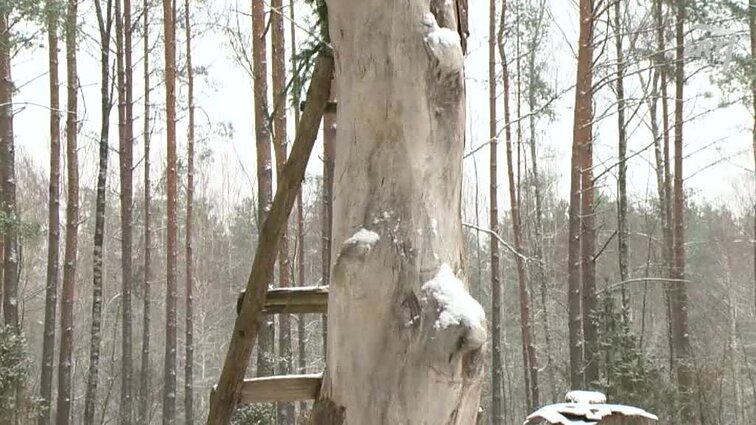 Pradėk nuo savęs. - 2017.12.24
