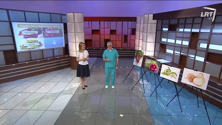 Cepelinai – nokdaune: valgomieji batatai – daug vertingesni už įprastas bulves