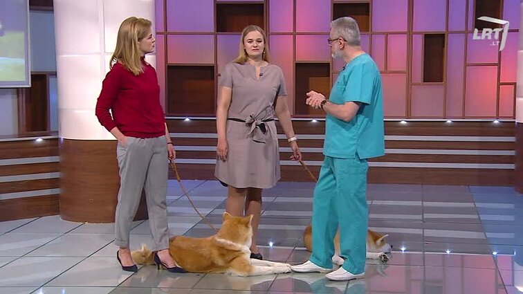 Didelis pilvas gali slėpti didelę problemą: nutukimas susijęs su depresija