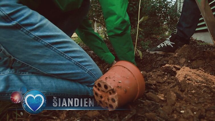 Į sveiką gyvenimą basomis: pėdos – durys kūną stiprinantiems elektronams