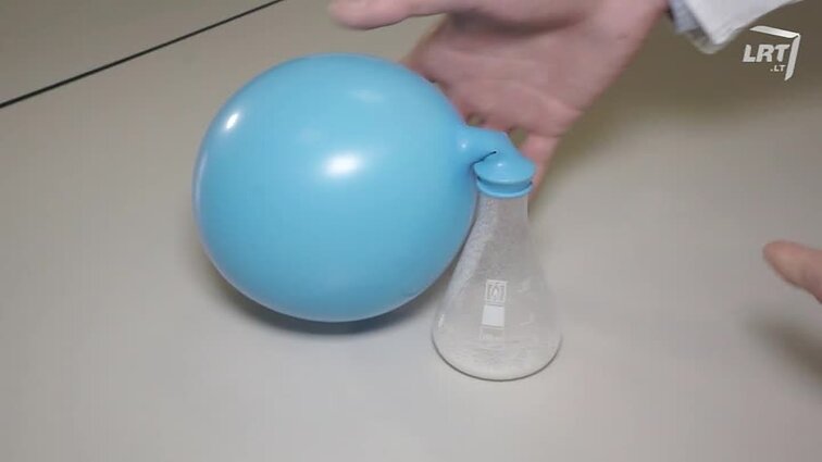 Mažasis atradėjas.