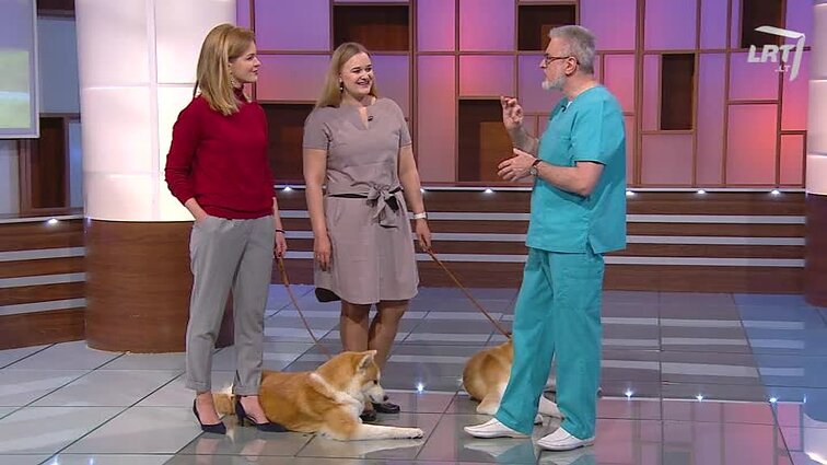 Iš pažiūros gardžiuose mėsos gaminiuose – vėžys, cukrinis diabetas ir Alzheimerio liga