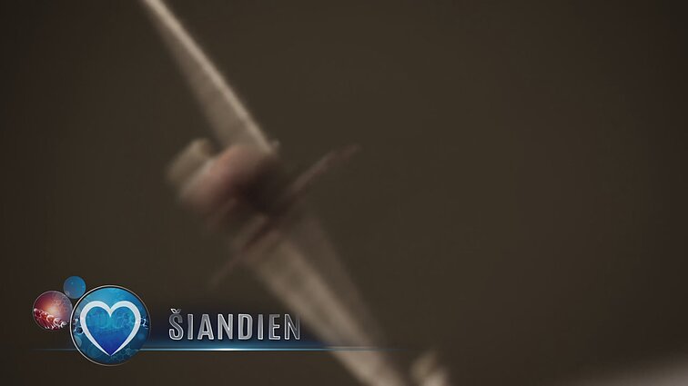 Slepiasi ne tik erkės, bet ir jų platinami susirgimai: pastebėti Laimo ligą gali būti sunku