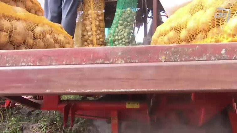 Ryto suktinis su Zita Kelmickaite